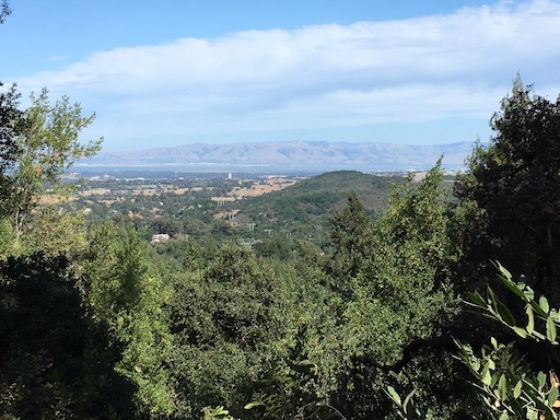 Wunderlich Park and the Bay, 2019